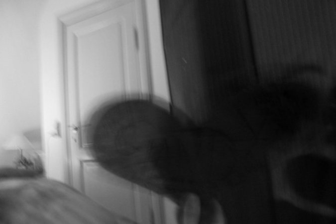 223253_10150185027334450_11624_n