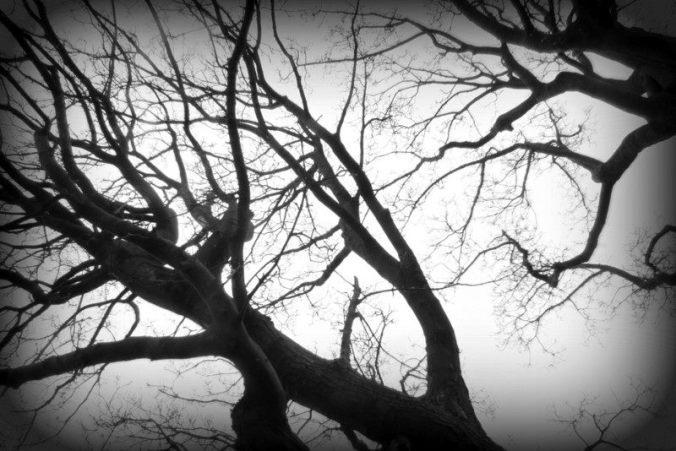 374548_10150683953329450_1868934969_n