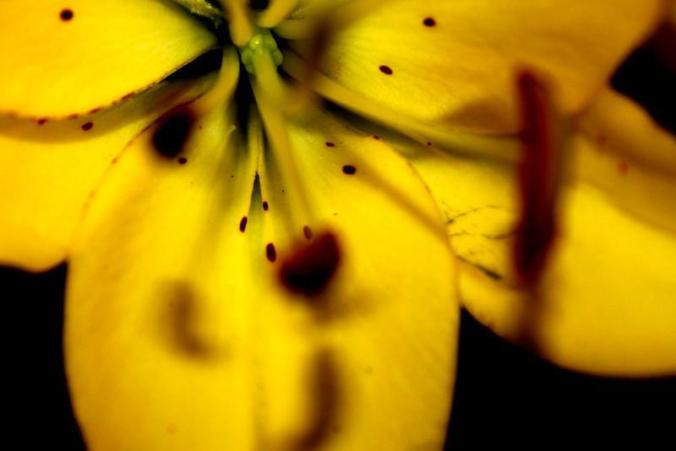 421005_10150590396889450_963049754_n