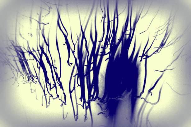 546254_10150718298234450_1203805776_n 19-06-024