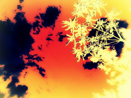 01342721d1e5b8faf314bf85281c4cd6