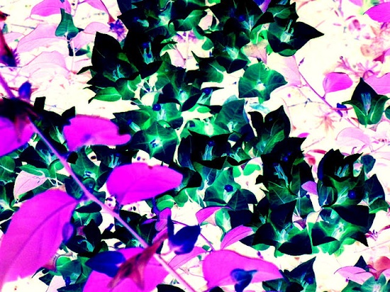 03b5dd78f3927f671c798b581a8052dd