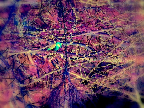 7f8c870ef8819a2937c6efda8c3bb463