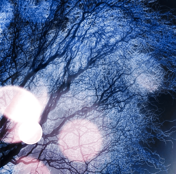 Screen shot 2014-02-01 at 2.59.26 AM