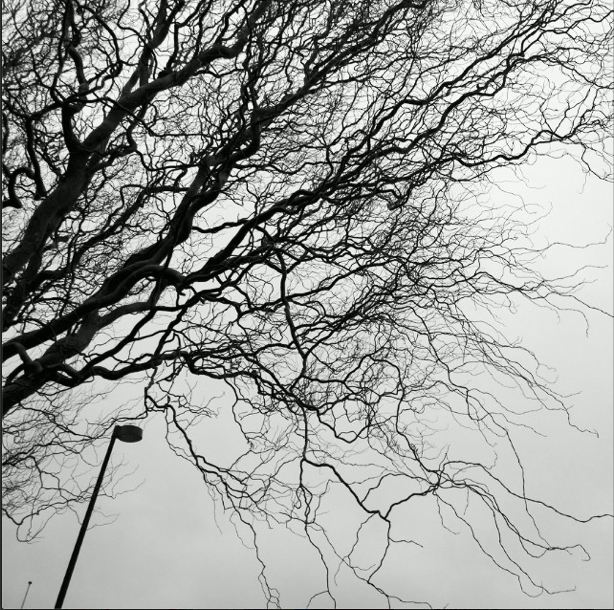 Screen shot 2014-02-01 at 2.59.43 AM