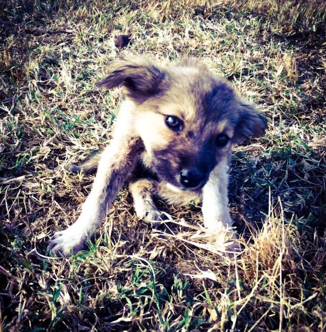 fgwundQdWFkQ02DekiPsnZ9gkSoKO_XwzEfRGaqEwqA