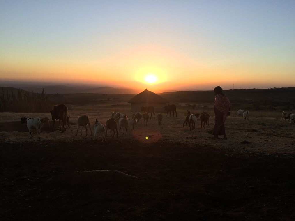 0T9qCn3H8fN1P29gkyrncNnT4dzFZgZ5RdRu37su0Eo