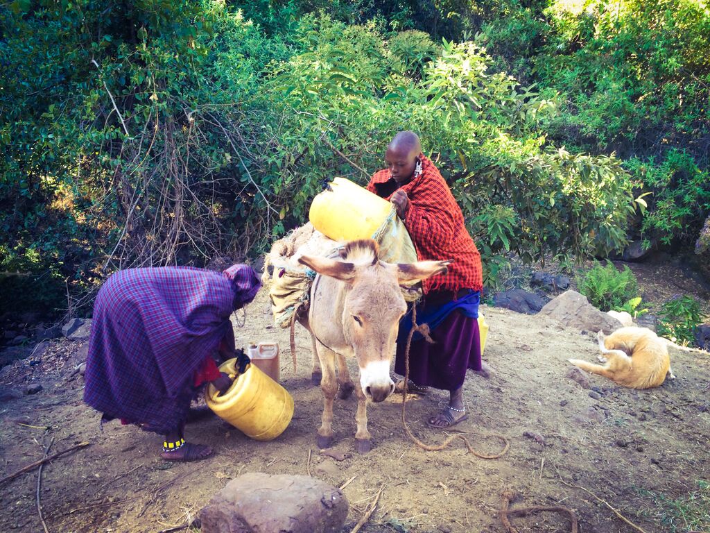 gT-LbNFggnNuvlOwmv6p0ga6XQjD24b-K-imwyKC6oU