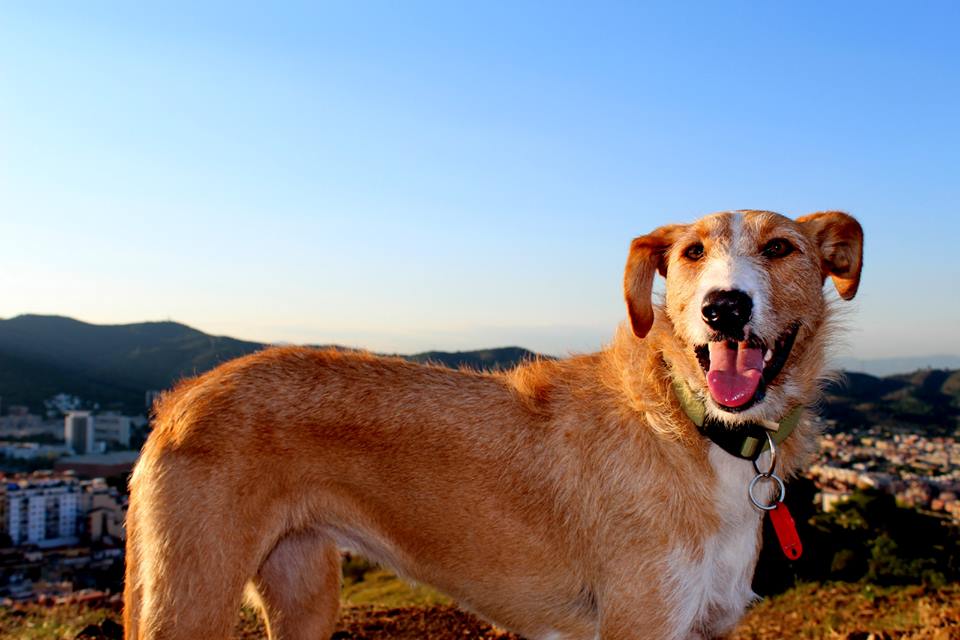 10494653_10152648505554450_1738247264330984186_n