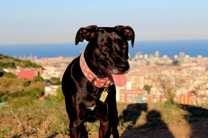 10570458_10152648505679450_666103984932993782_n